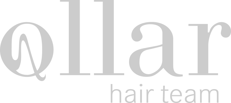 Ollar-Logo-Grey